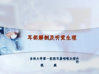 耳解剖及听觉生理