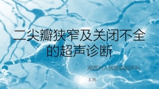 二尖瓣狭窄及关闭不全的超声诊疗