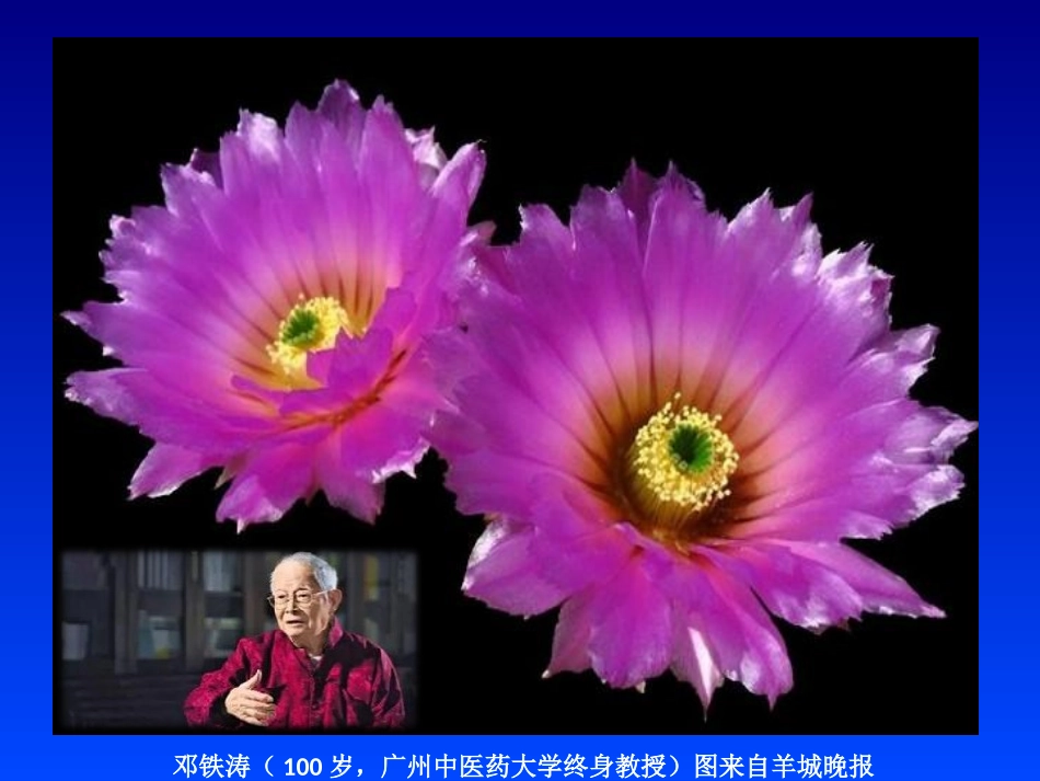 二十位国医大师的独家长寿秘诀和秘方_第3页