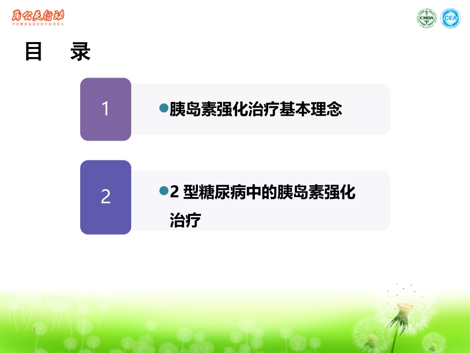 二型糖尿病的胰岛素强化治疗刘石平教授_第2页