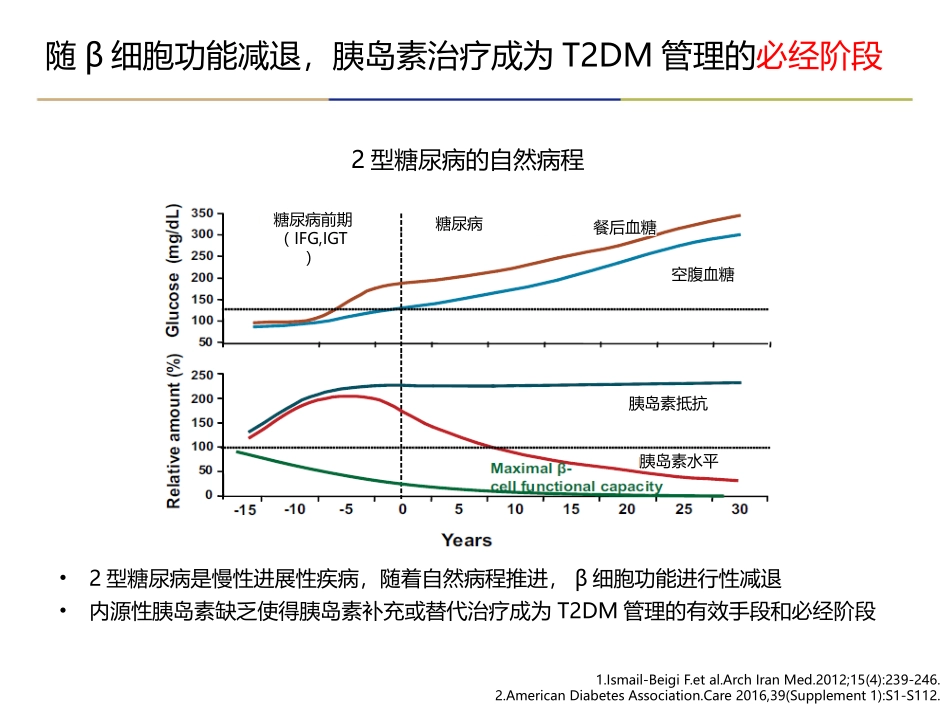 二型糖尿病基础胰岛素专家建议解读_第3页
