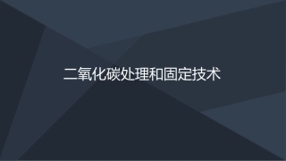 二氧化碳处置和固定技术课堂展示