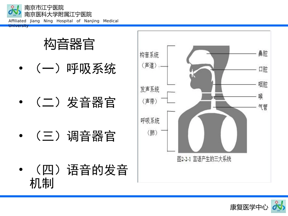 发音系统的言语解剖_第2页