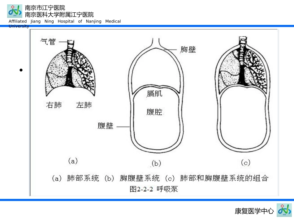 发音系统的言语解剖_第3页