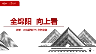 房地产策划方案楼盘营销中心亮相盛典策划案