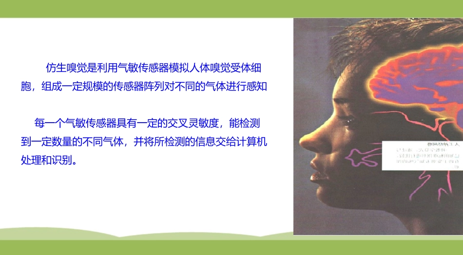 仿生嗅觉原理_第3页