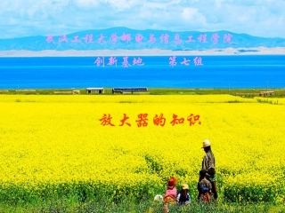 放大器的认识讲解