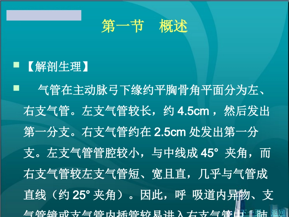 肺癌患者的护理_第2页