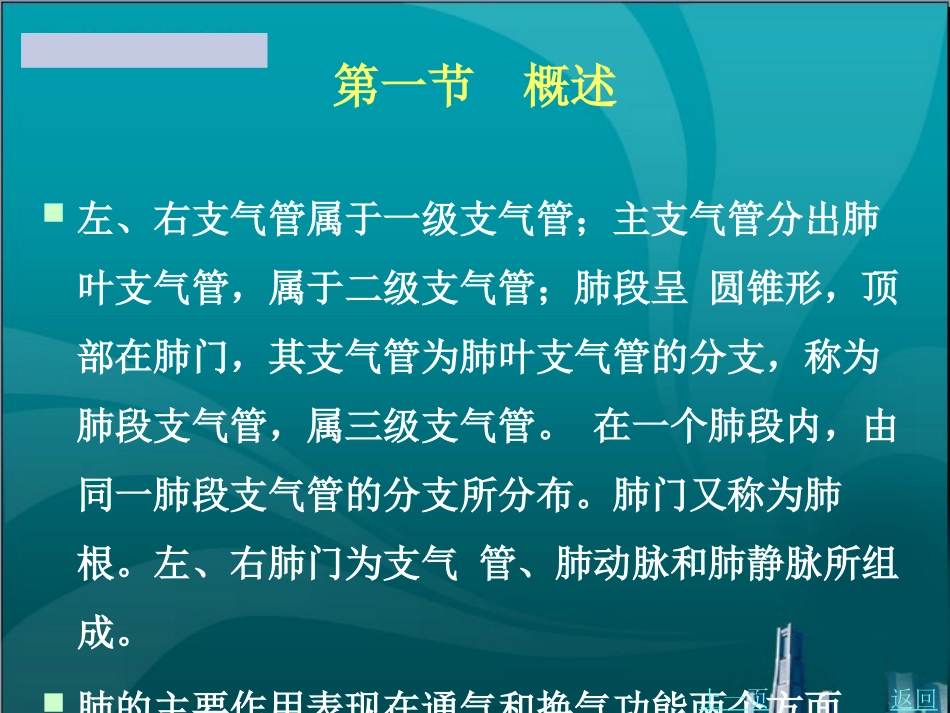 肺癌患者的护理_第3页