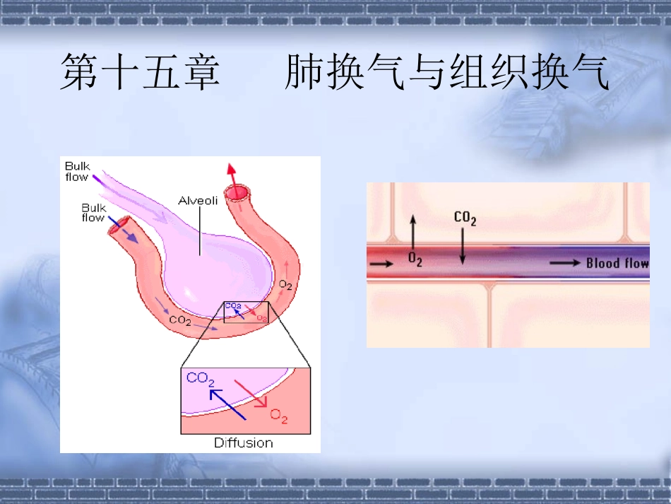 肺换气及组织换气_第1页