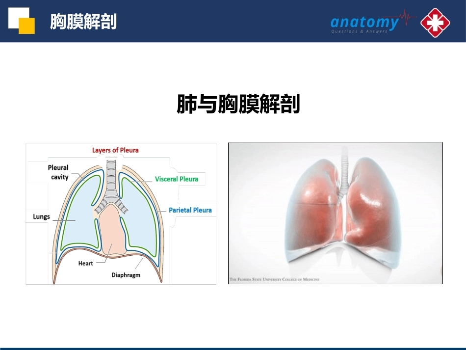 肺切除术后支气管胸膜瘘的处置策略_第2页