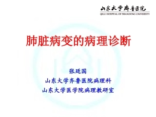 肺脏病变的病理诊疗