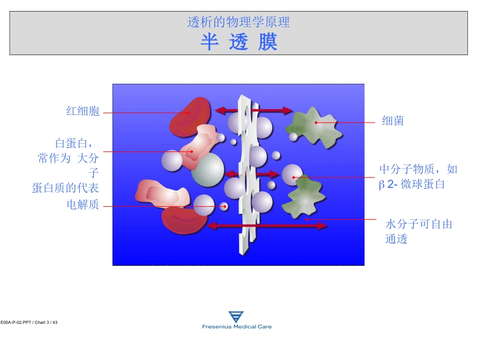 费森尤斯透析器知识_第3页