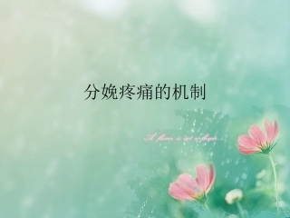 分娩疼痛机制