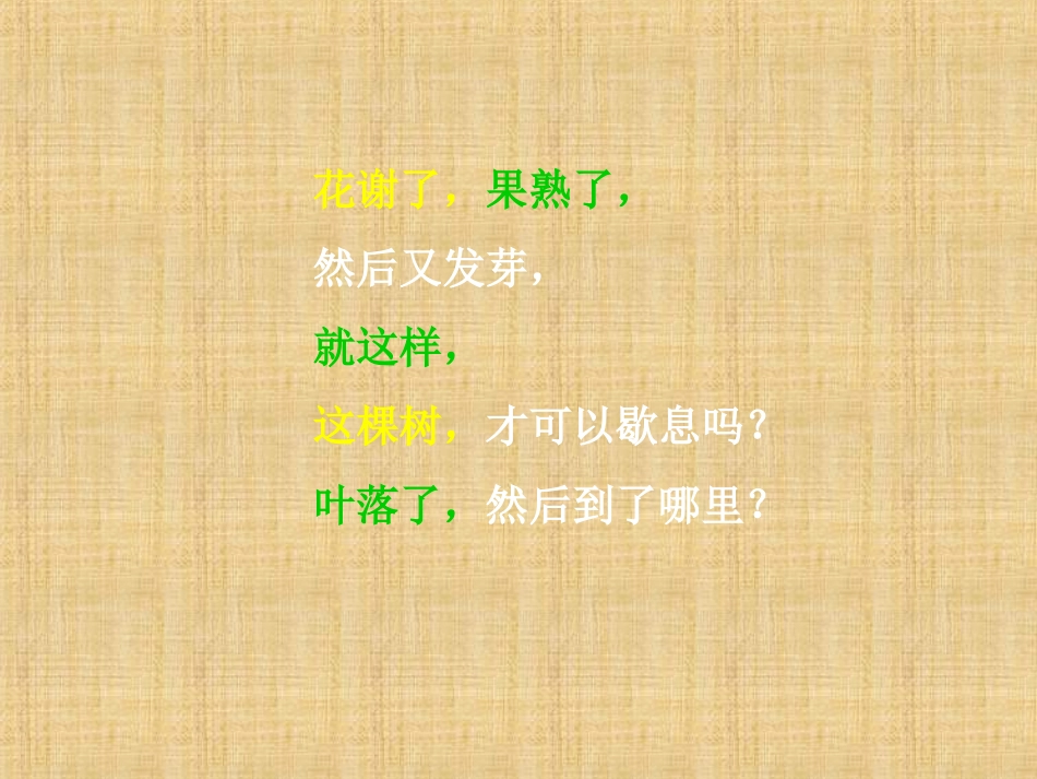 风到哪里去了_第3页