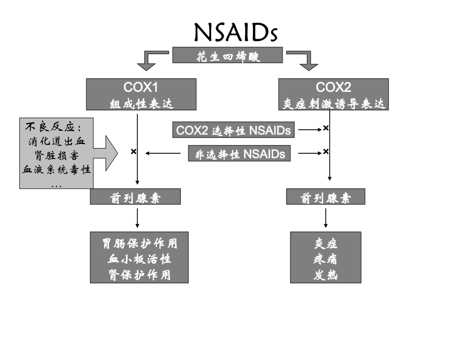 风湿免疫科常用药物概述_第3页