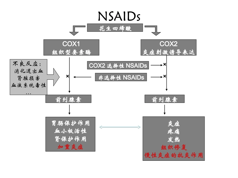 风湿免疫药物_第3页