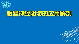 腹部神经阻滞应用解剖沙龙讲义