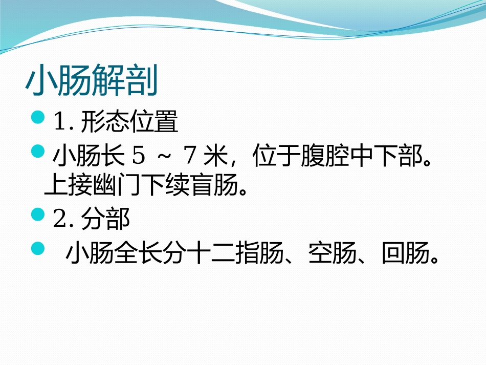 腹部正常解剖_第3页