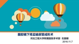 腹腔镜下肾盂输尿管成形术