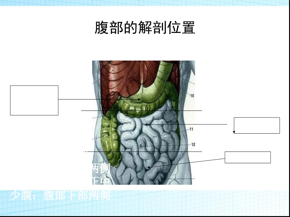 腹痛中西医结合内科_第3页