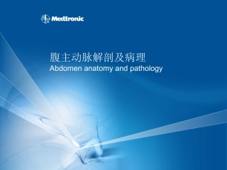腹主动脉解剖及病理