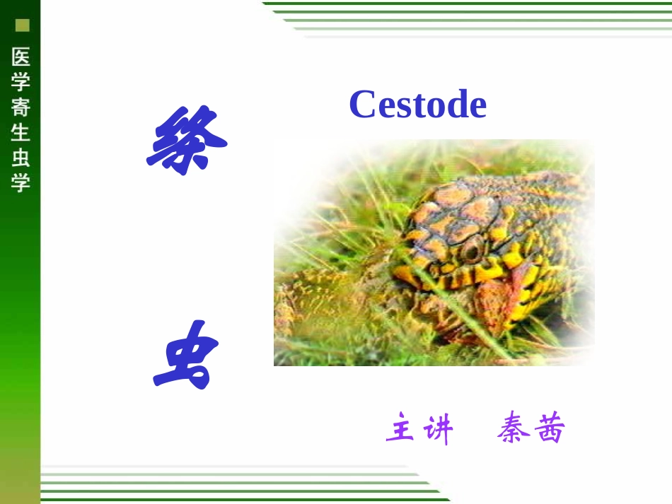 概论猪带绦虫和牛带绦虫_第1页