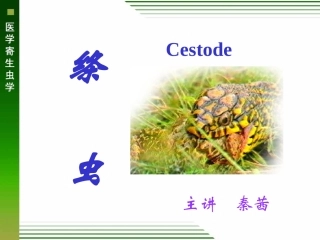 概论猪带绦虫和牛带绦虫