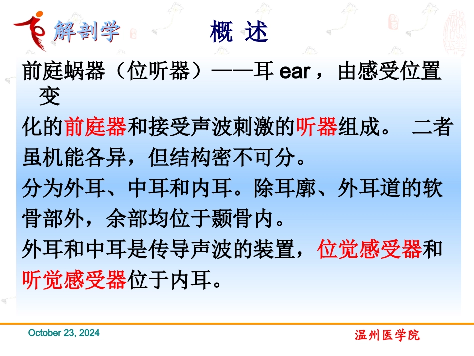 感觉前庭蜗器系统解剖学课件_第3页