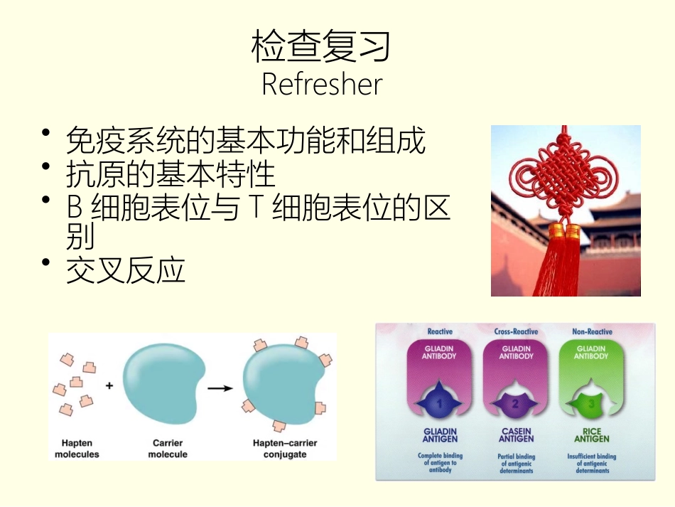 感染和免疫免疫器官免疫细胞_第2页