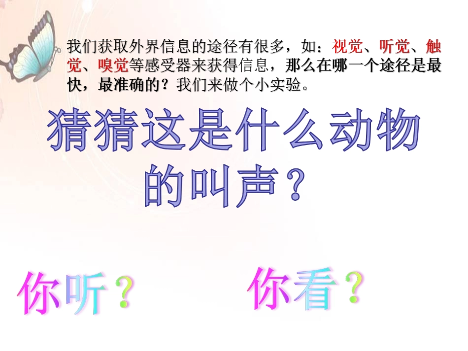 感受器和感觉器官一_第2页