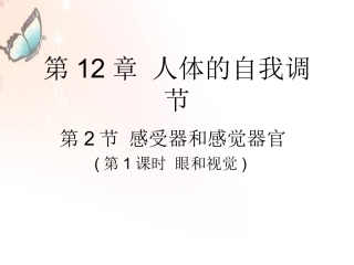 感受器和感觉器官一
