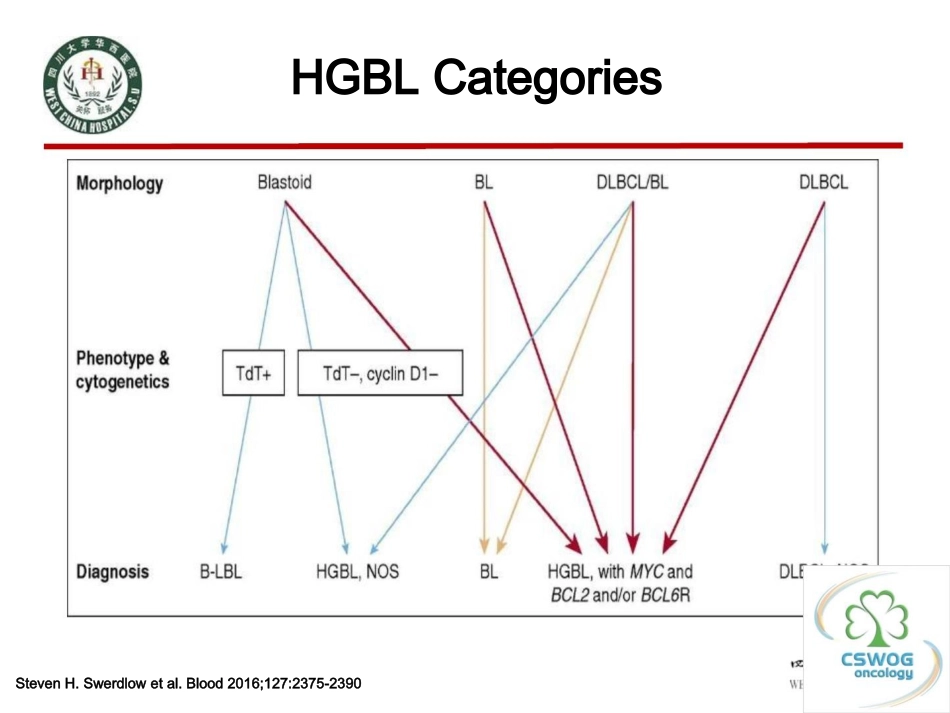 高级别B细胞淋巴瘤_第3页