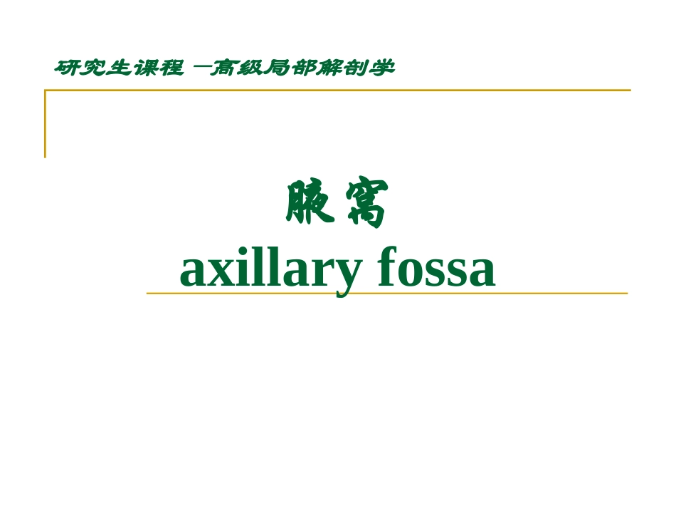 高级局部解剖腋窝_第1页