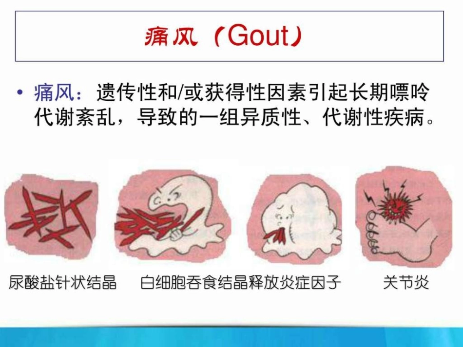 高尿酸血症痛风和肾脏病_第3页