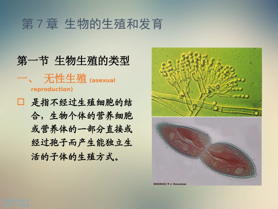 高中生物的生殖课件_第2页