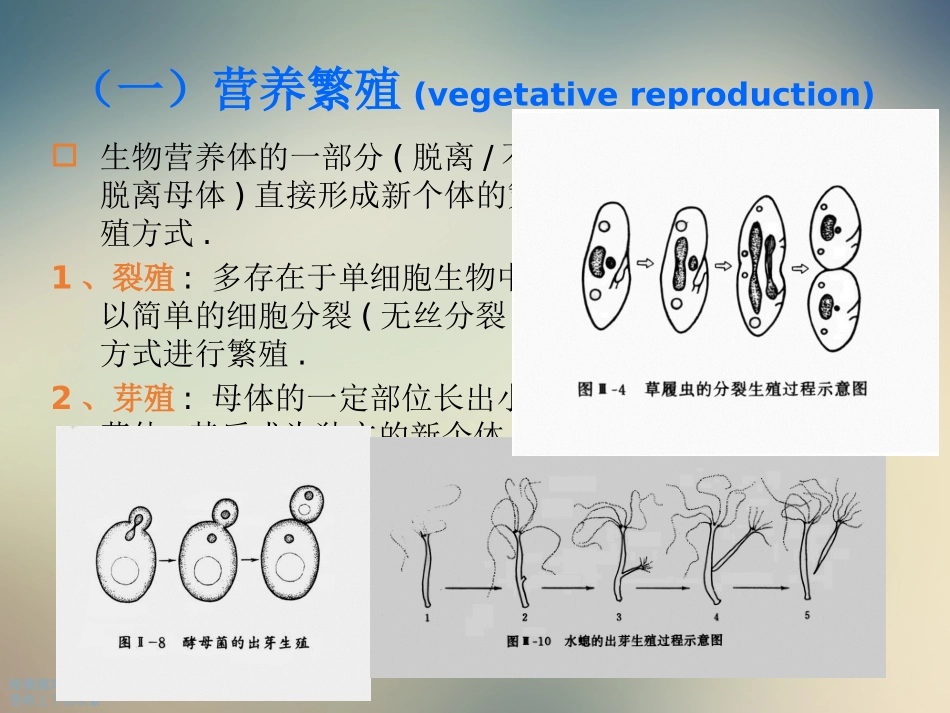 高中生物的生殖课件_第3页