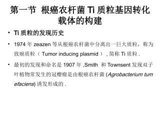 根癌农杆菌Ti质粒课件