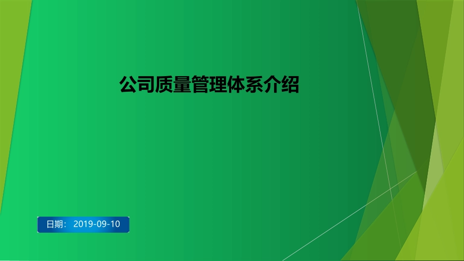 公司质量管理体系介绍_第1页