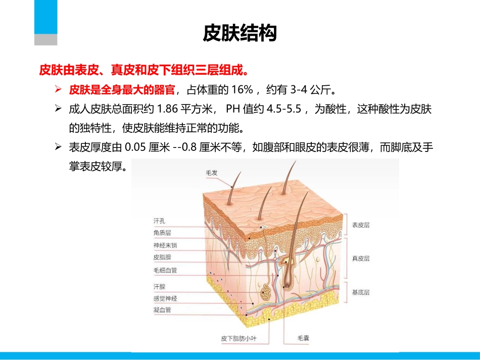 功能性敷料类别及特点_第2页