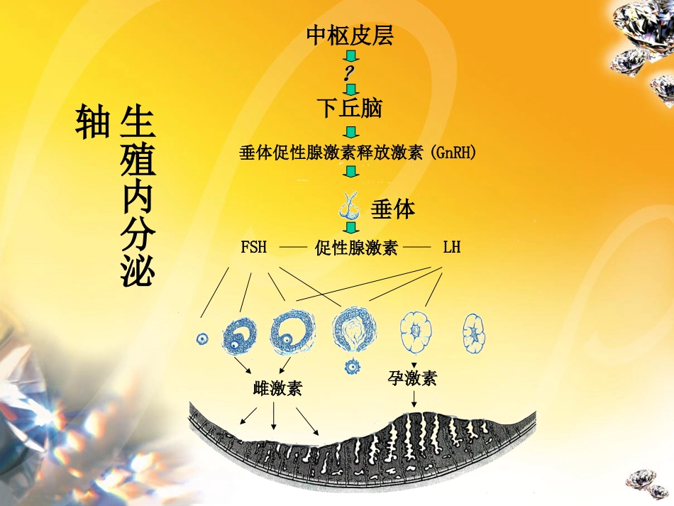 功能性子宫出血的诊疗和治疗_第3页