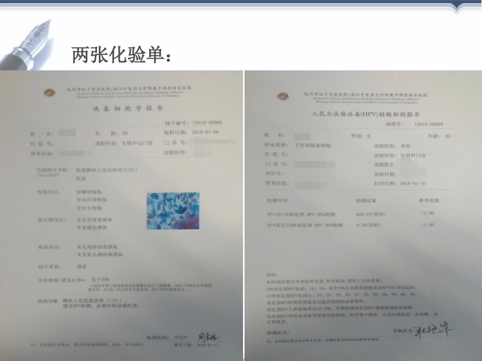 宫颈癌前病变概述HPV_第3页