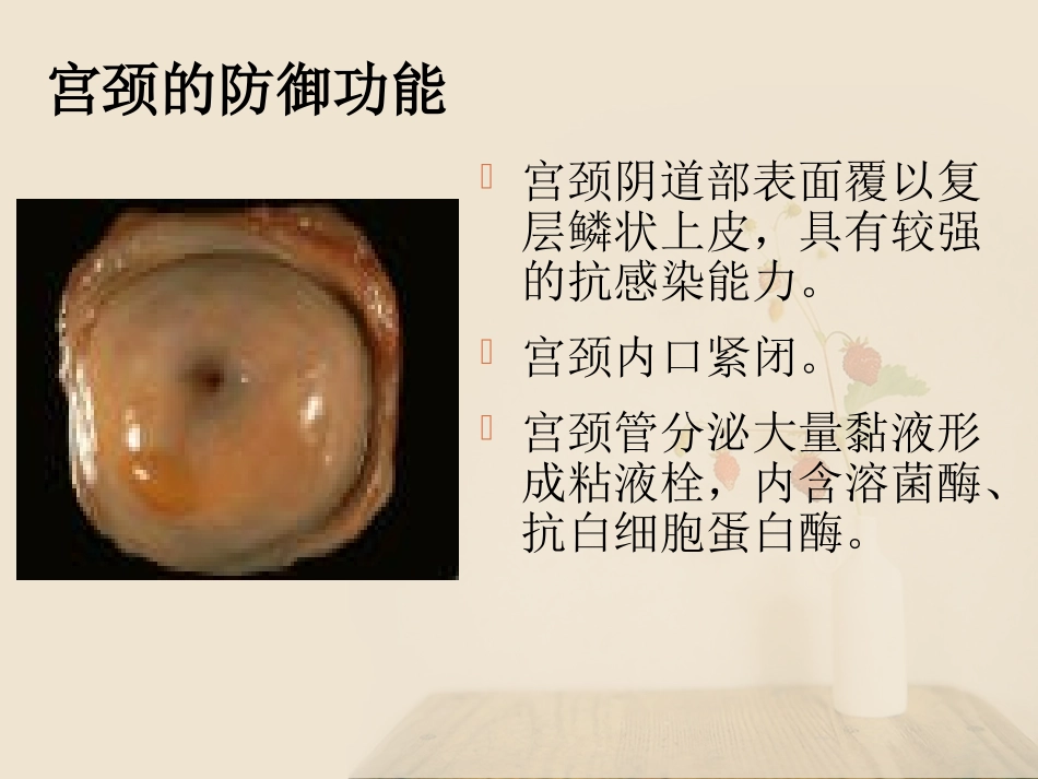 宫颈炎症课件资料_第3页