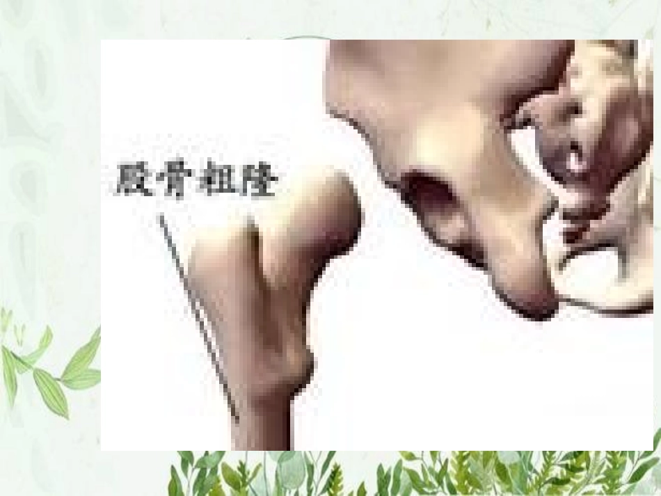 股骨粗隆间骨折护理查房精图文_第3页