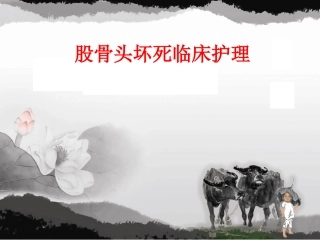 股骨头坏死临床护理最新课件