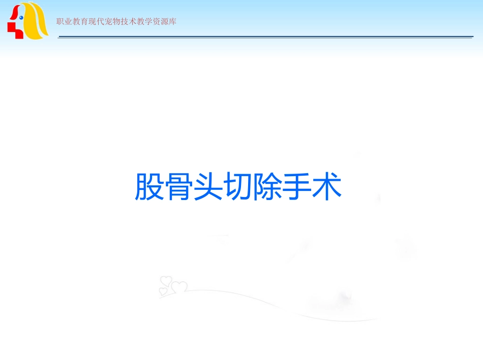 股骨头切除手术概要_第1页