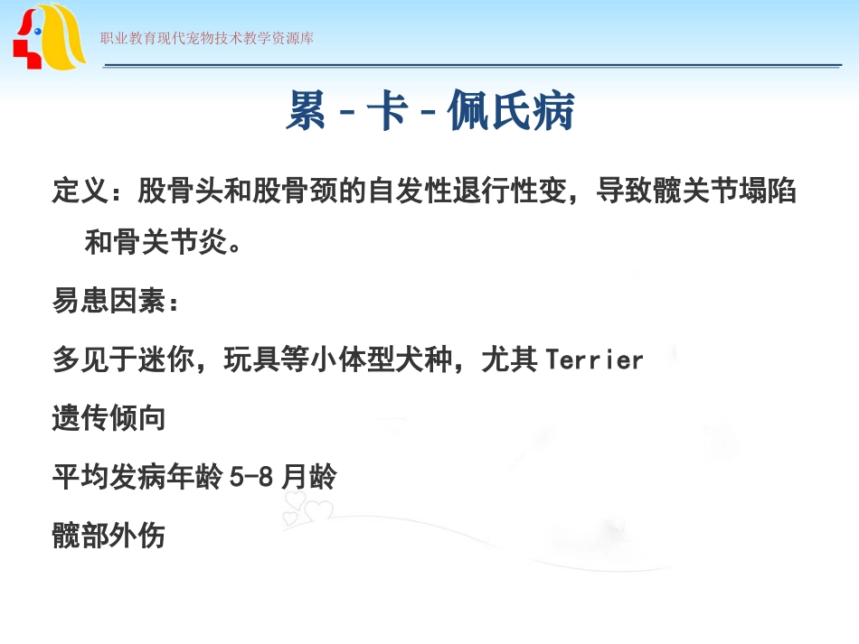 股骨头切除手术概要_第2页