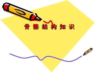 骨骼结构知识