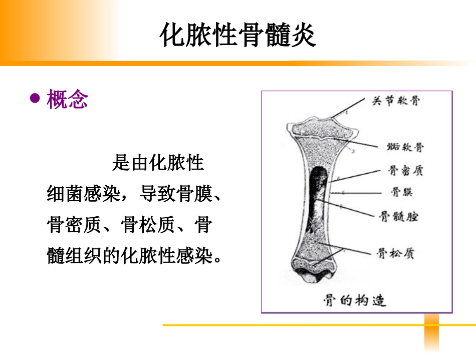 骨和关节感染病人的护理全解_第3页