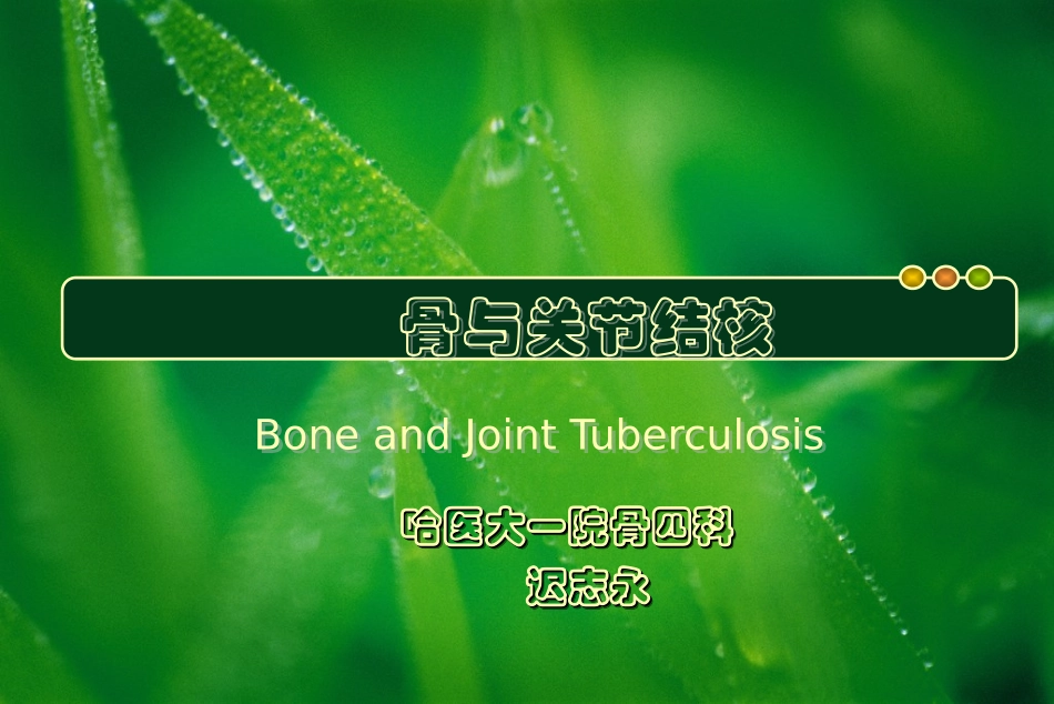 骨和关节结核课件_第1页